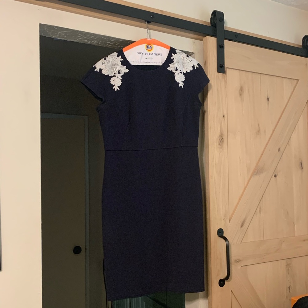 Navy Ann Taylor dress